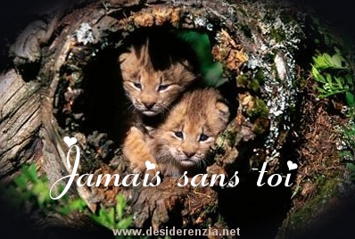 a toi que j aime tant